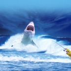 They Don’t Bite! :  The Evolution of the Terribly Awesome Shark Movie